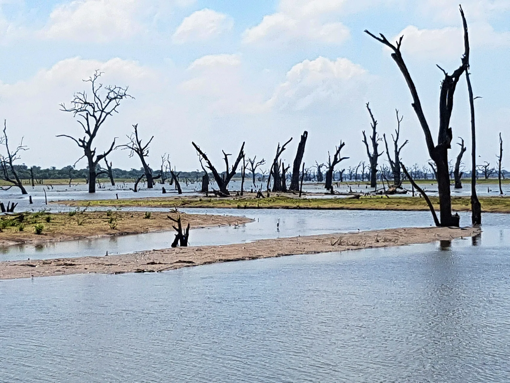 Udawalawe National Park by Peter Addor