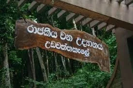 Udawattakele Forest Reserve by LKTraveler admin upload
