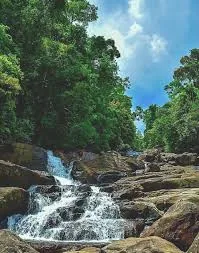 Kanneliya Forest Reserve by LKTraveler admin upload