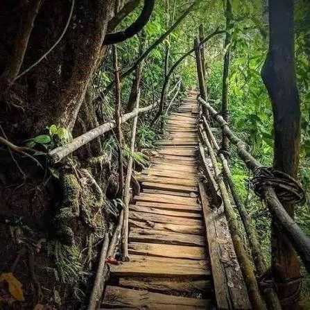 Kanneliya Forest Reserve by LKTraveler admin upload