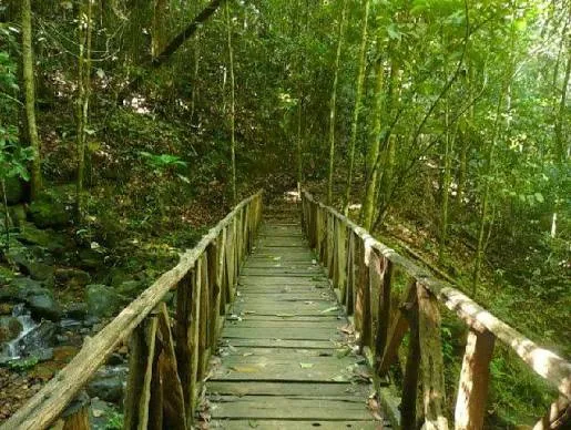 Kanneliya Forest Reserve by LKTraveler admin upload