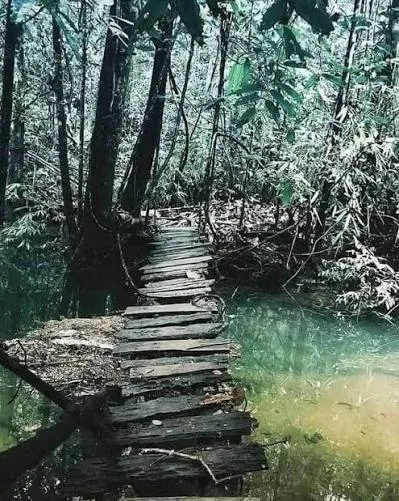 Kanneliya Forest Reserve by LKTraveler admin upload