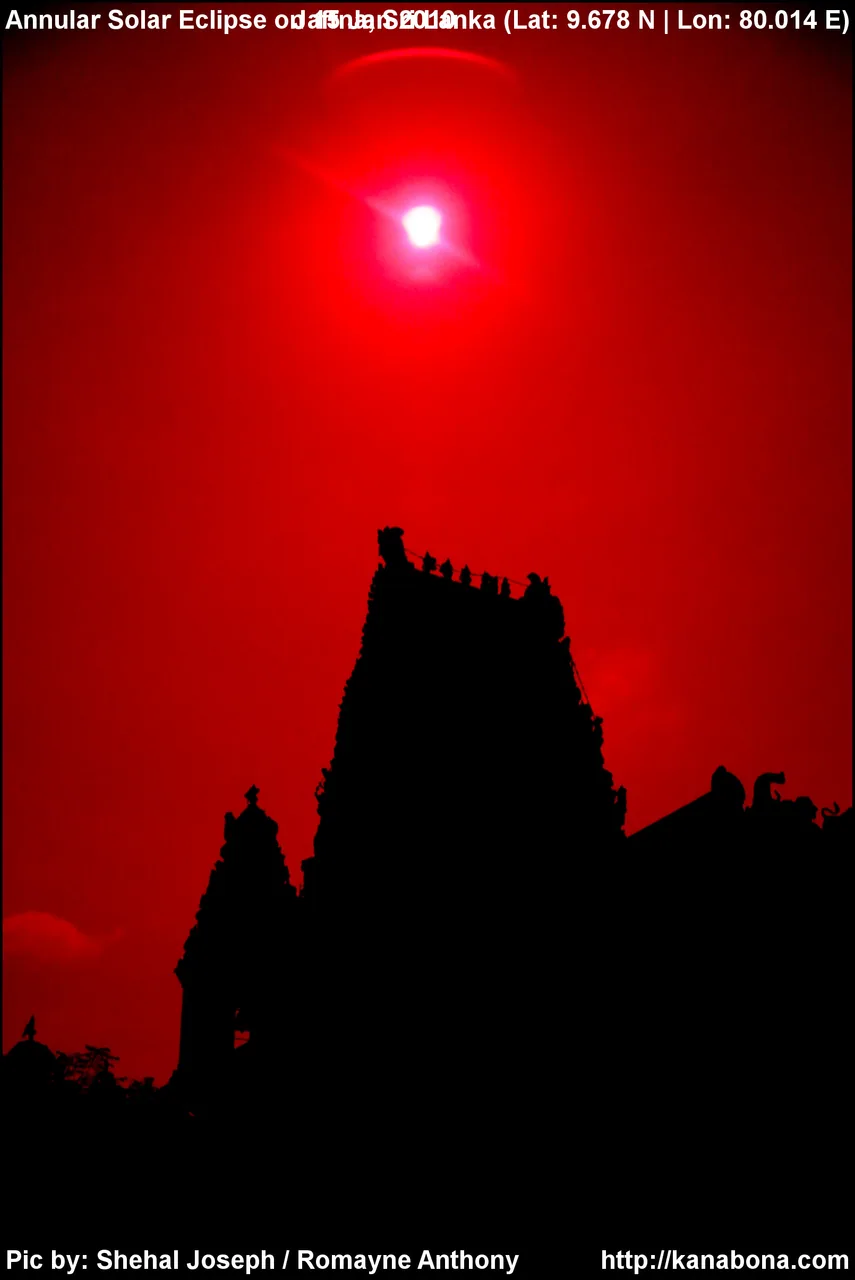 Nallur Kandaswamy Kovil by Shehal Joseph