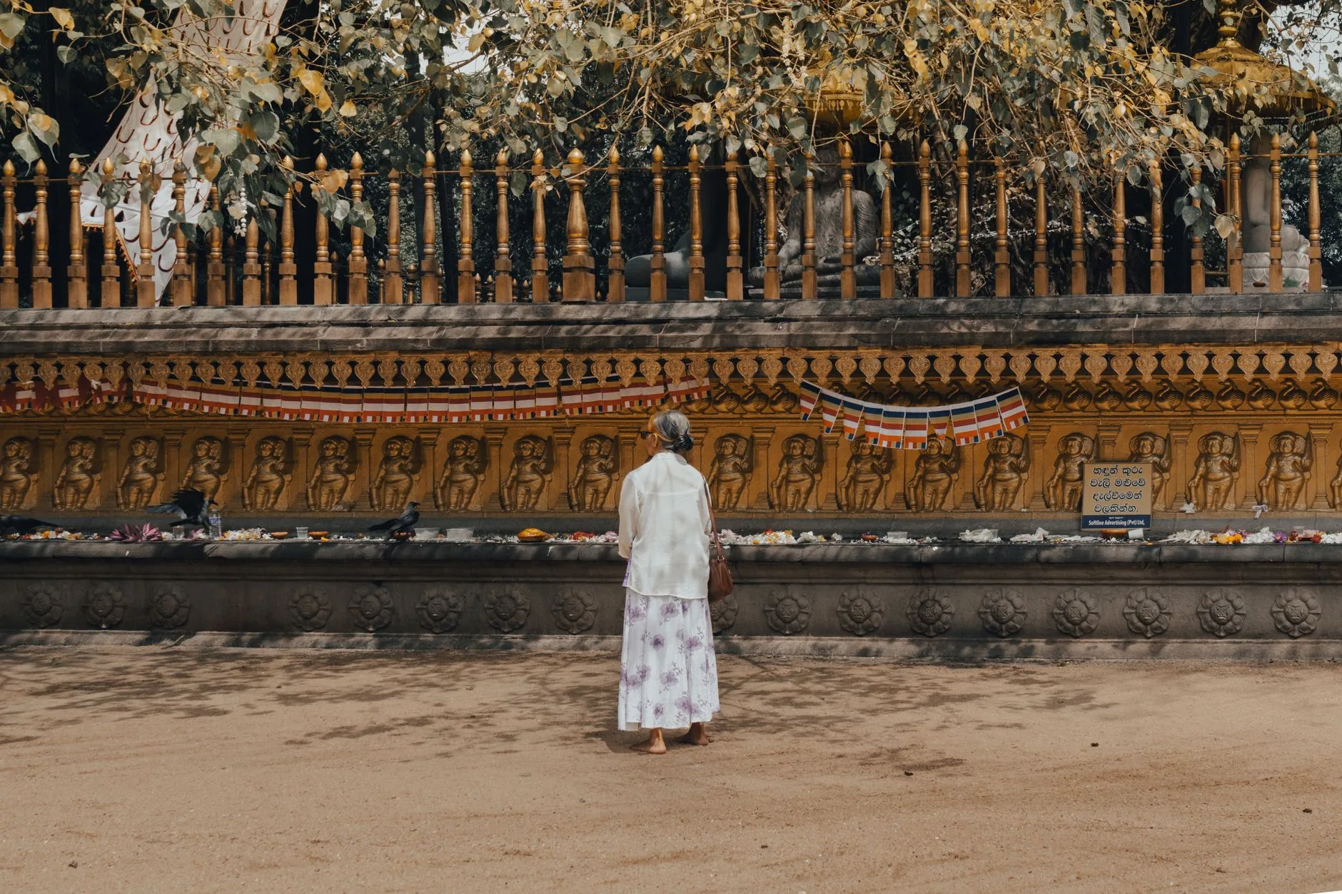 Kelaniya Raja Maha Vihara by Ceylon Frames