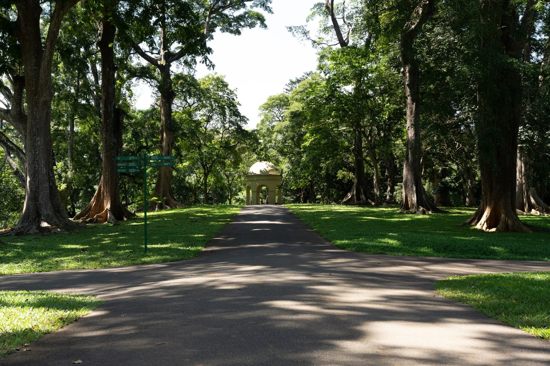 Royal Botanic Gardens Peradeniya by Thilina Alagiyawanna