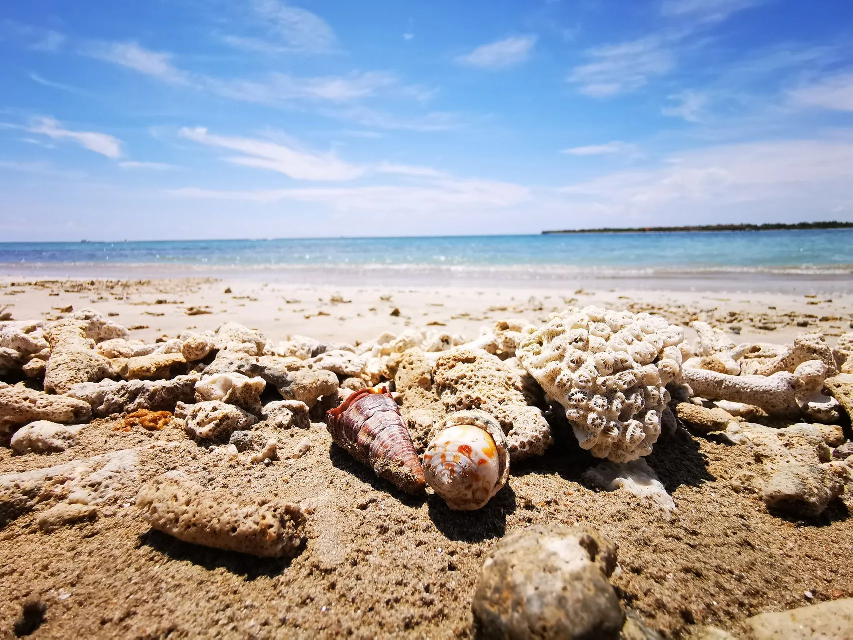 Kalkudah Beach by Yohantha Gunawarna