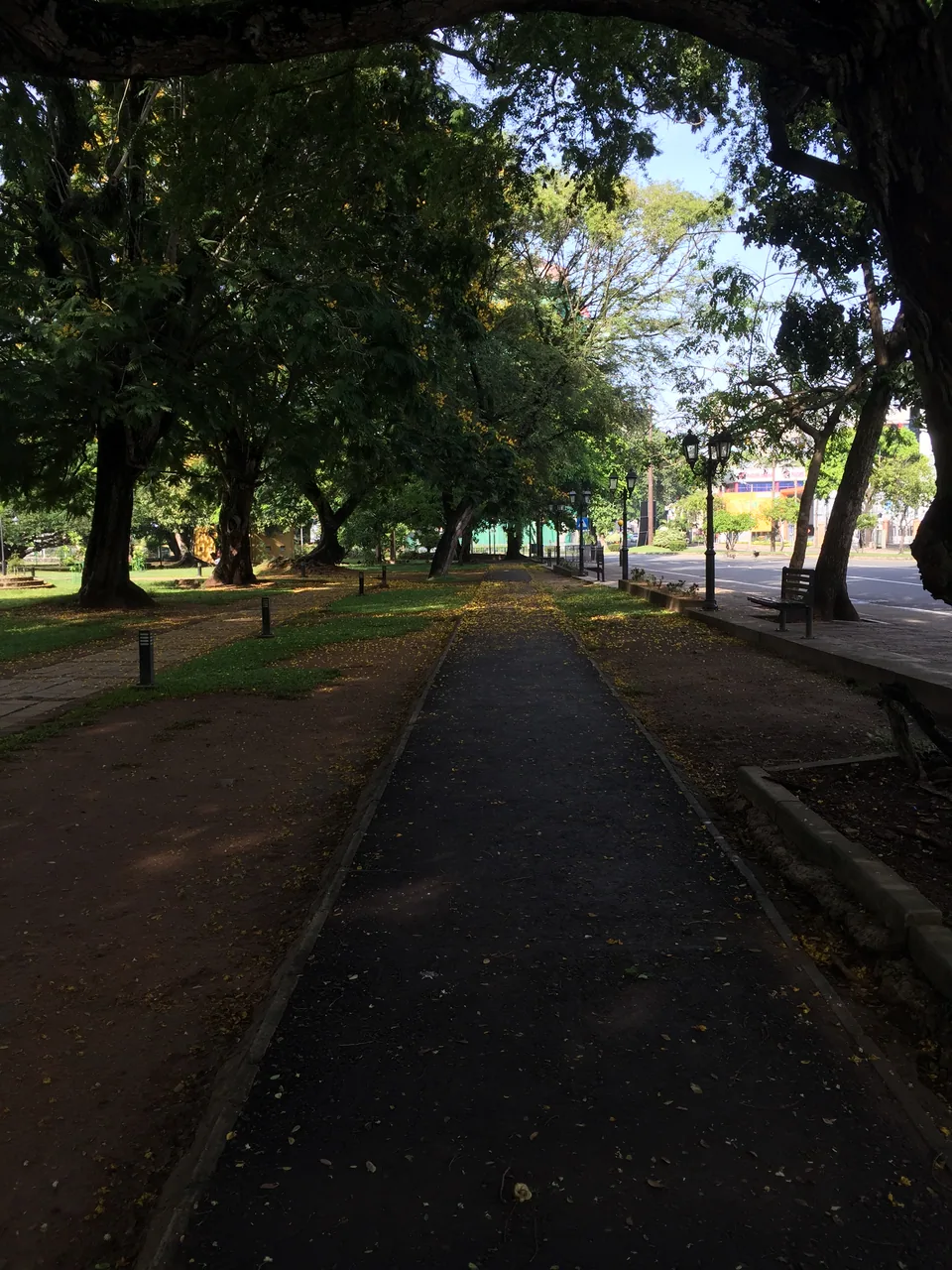 Viharamahadevi Park by Rehan Julian