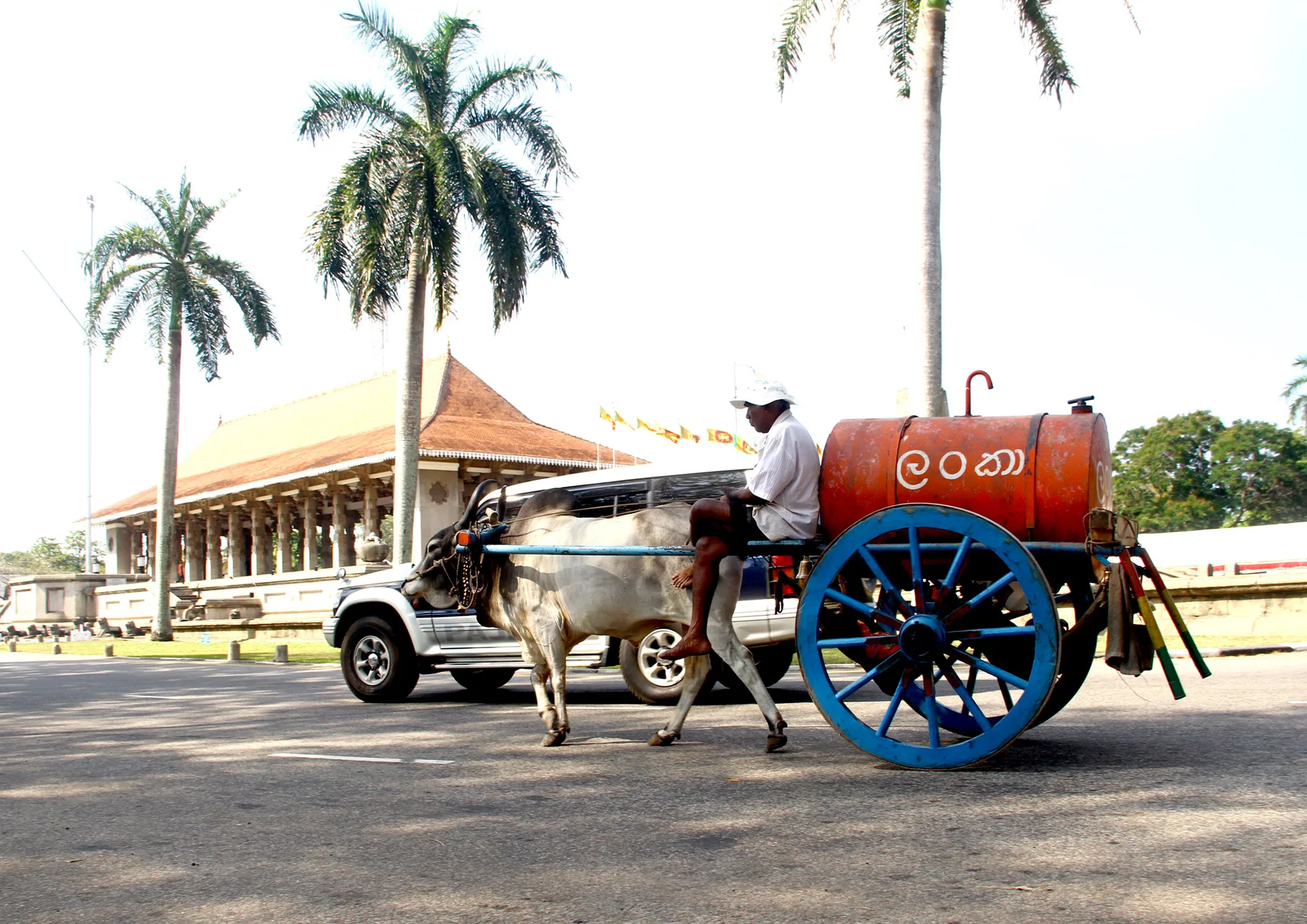Independence Square by Sulochana Gamage