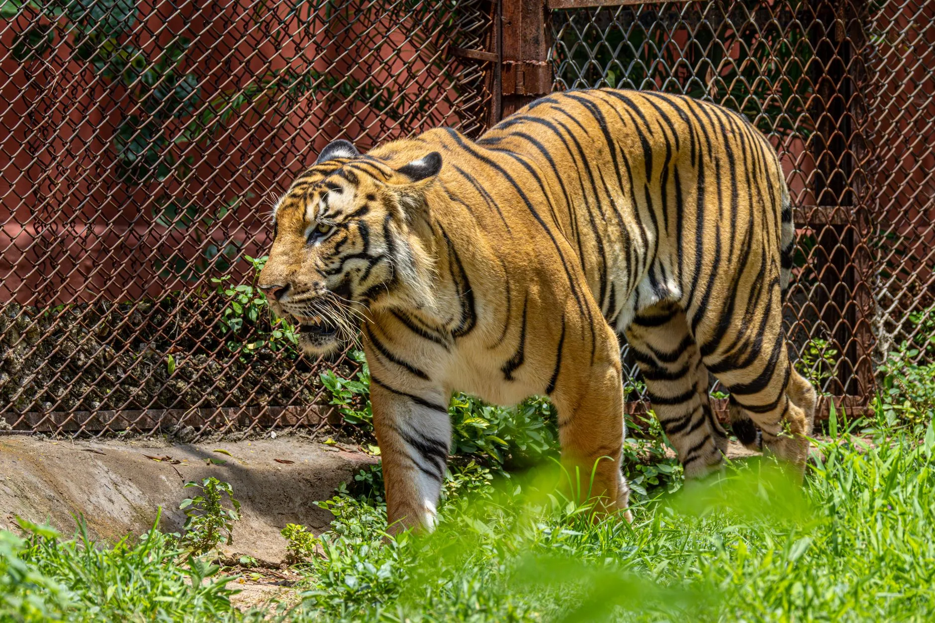 Dehiwala National Zoo by Regan Dsouza