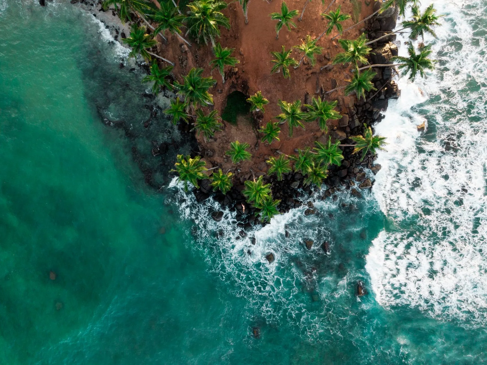 Coconut Tree Hill