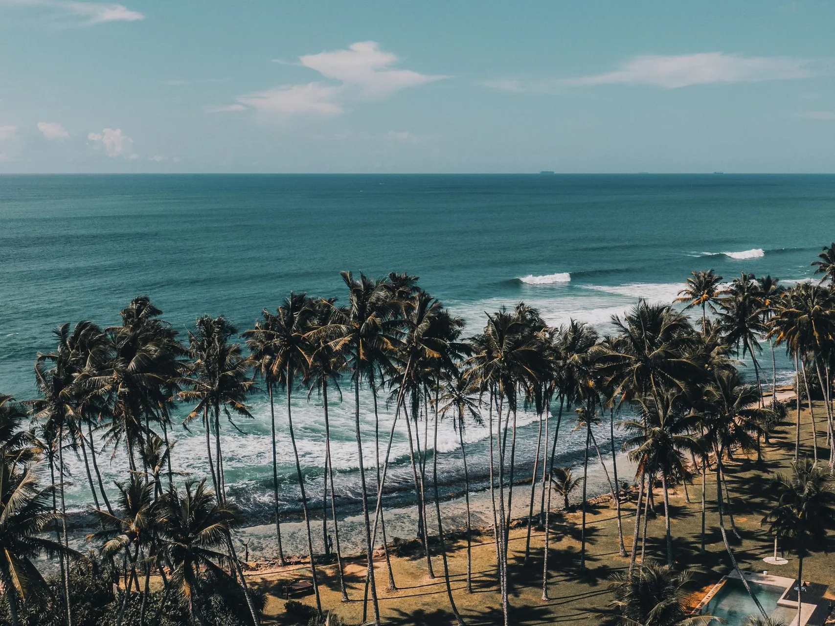 Coconut Tree Hill by Inna Rabotyagina