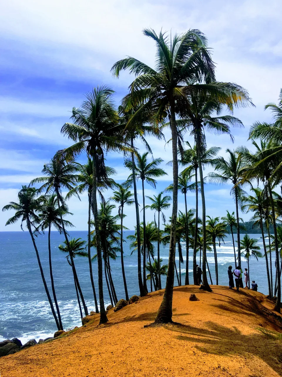 Coconut Tree Hill by Sergei Gussev