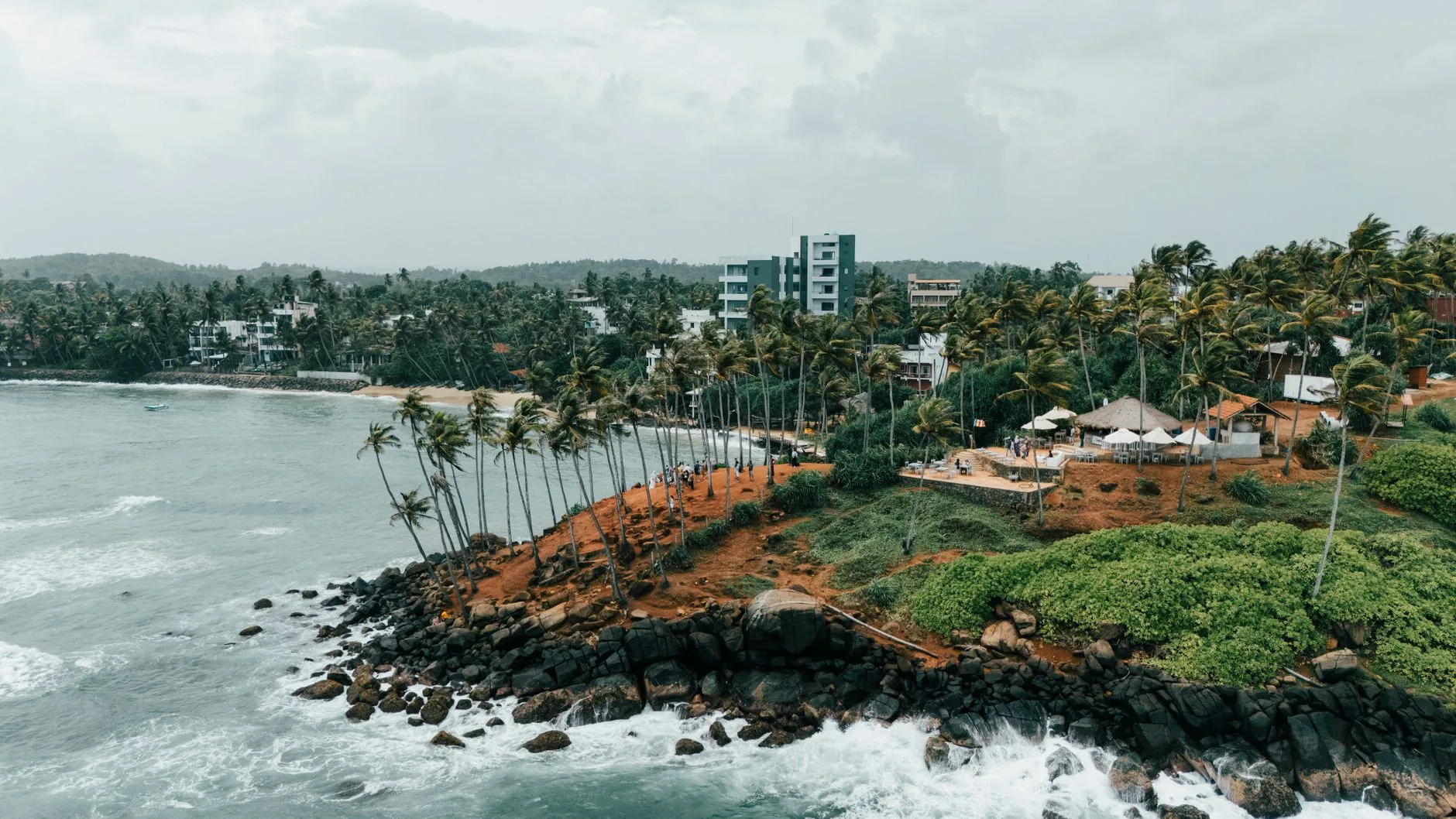 Coconut Tree Hill by Eslam Mohammed Abdelmaksoud