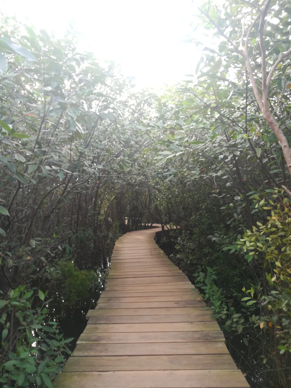 Beddagana Wetland Park