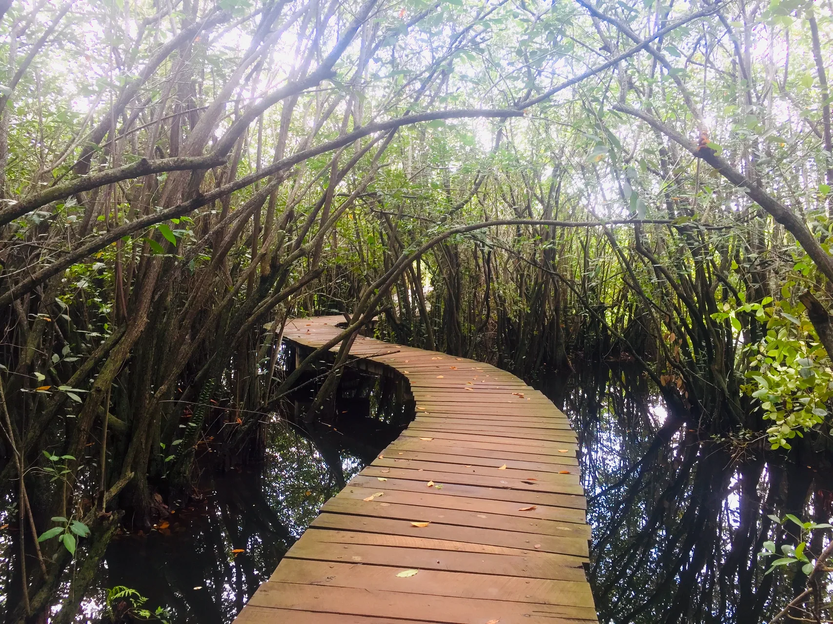 Beddagana Wetland Park by Rashod Sithumka