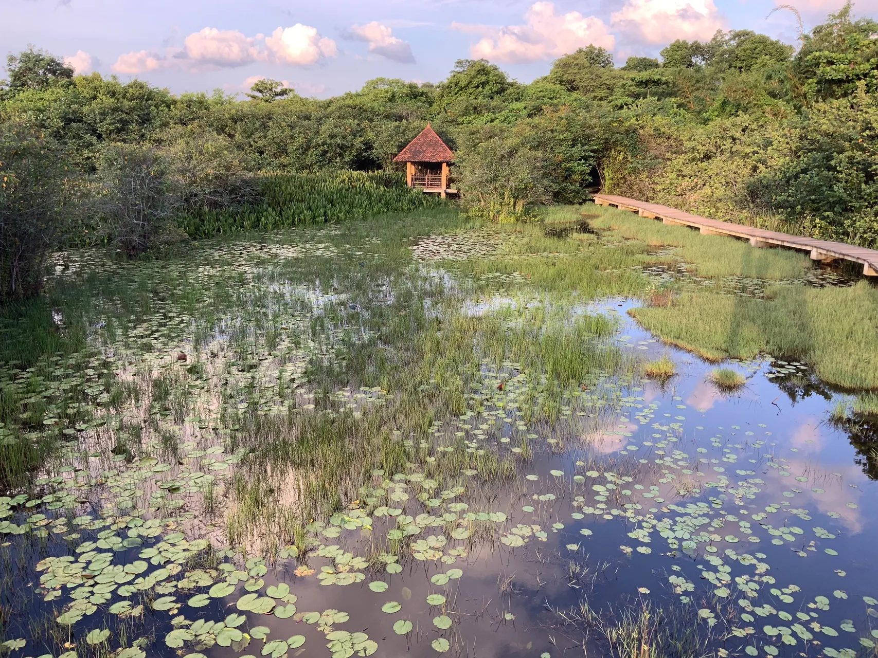 Beddagana Wetland Park by Ooshanna