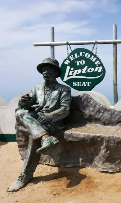 Lipton's Seat