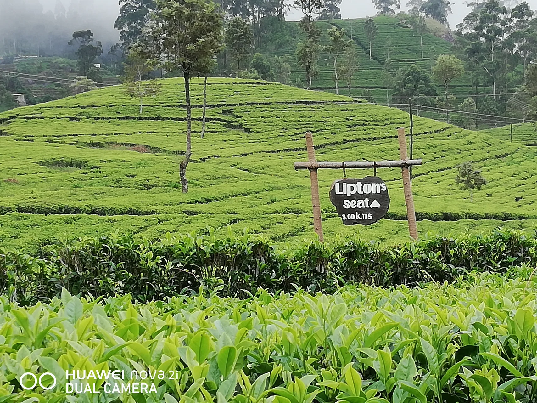 Lipton's Seat by Thilanka Kasunjith
