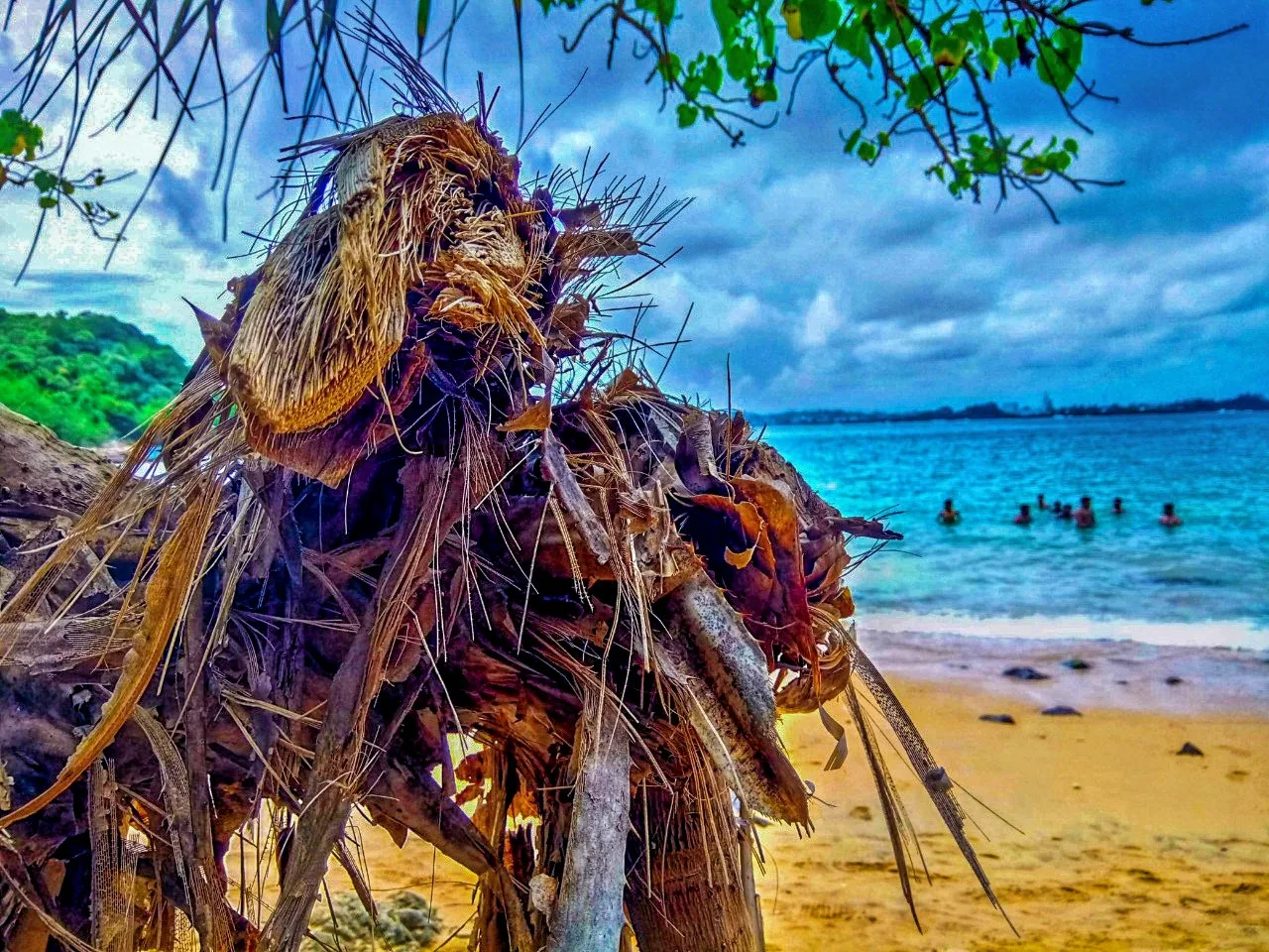 Jungle Beach by Kasintha Kalhara