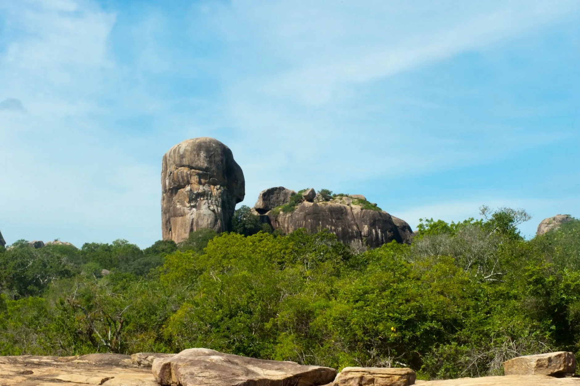 Yala National Park by Atlantic Ambience